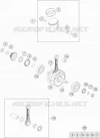 VILEBREQUIN / PISTON