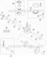 VILEBREQUIN / PISTON