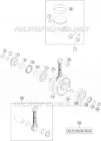 VILEBREQUIN / PISTON