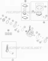 VILEBREQUIN / PISTON