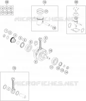 VILEBREQUIN / PISTON