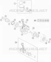 VILEBREQUIN / PISTON