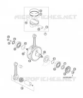 VILEBREQUIN / PISTON