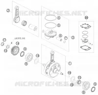VILEBREQUIN / PISTON
