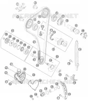 DISTRIBUTION