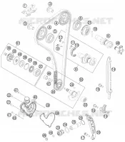 DISTRIBUTION