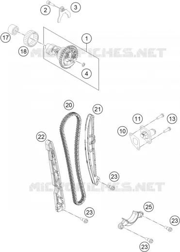 DISTRIBUTION