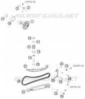DISTRIBUTION
