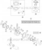 VILEBREQUIN / PISTON