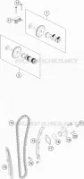 DISTRIBUTION