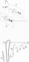 DISTRIBUTION
