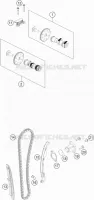 DISTRIBUTION