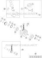 VILEBREQUIN / PISTON