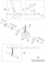 VILEBREQUIN / PISTON
