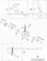 VILEBREQUIN / PISTON
