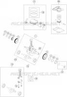 VILEBREQUIN / PISTON