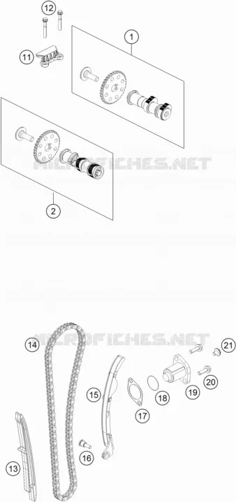 DISTRIBUTION