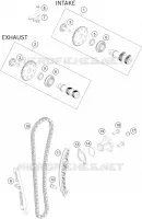 DISTRIBUTION
