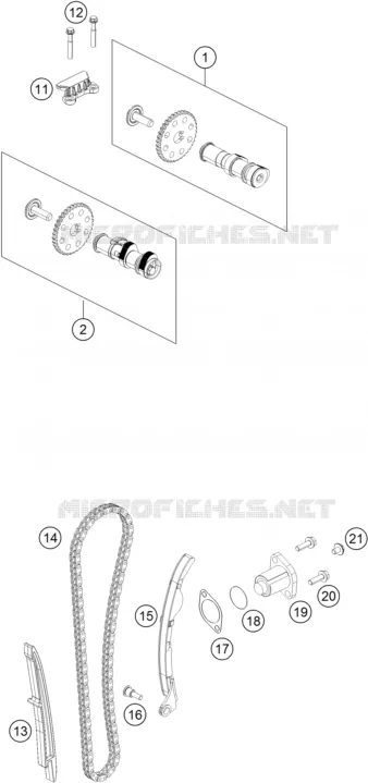 DISTRIBUTION