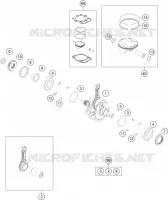 VILEBREQUIN / PISTON