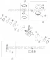 VILEBREQUIN / PISTON
