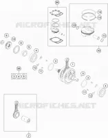 VILEBREQUIN / PISTON