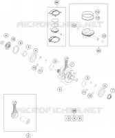 VILEBREQUIN / PISTON