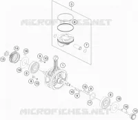 VILEBREQUIN / PISTON