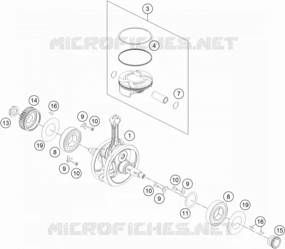 VILEBREQUIN / PISTON
