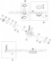 VILEBREQUIN / PISTON