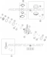 VILEBREQUIN / PISTON