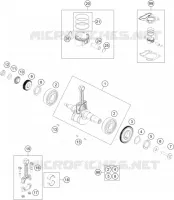 VILEBREQUIN / PISTON