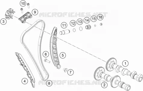 DISTRIBUTION