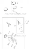 VILEBREQUIN / PISTON