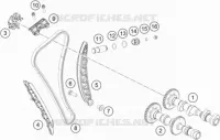 DISTRIBUTION