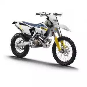 TE 300
