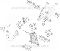 ECHAPPEMENT pour Husqvarna SVARTPILEN 401 CKD de 2019
